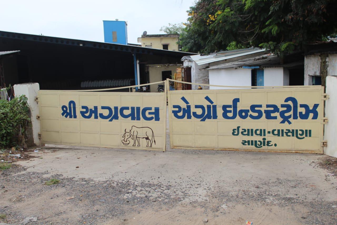 Warehouse stocked with large bags of cattle feed products ready for wholesale and bulk B2B supply at Shri Agrawal Agro Industries